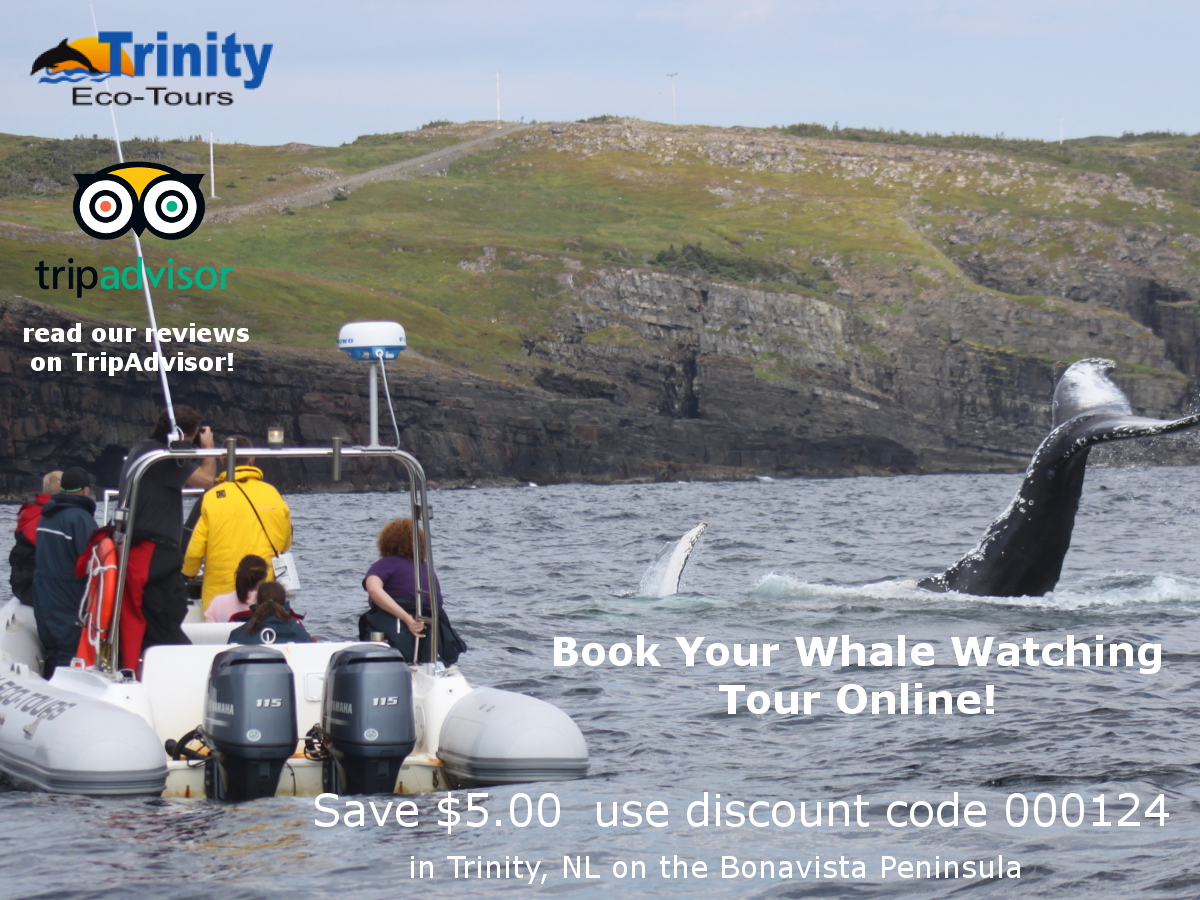 Trinity Eco Tours - Discount Code 000124