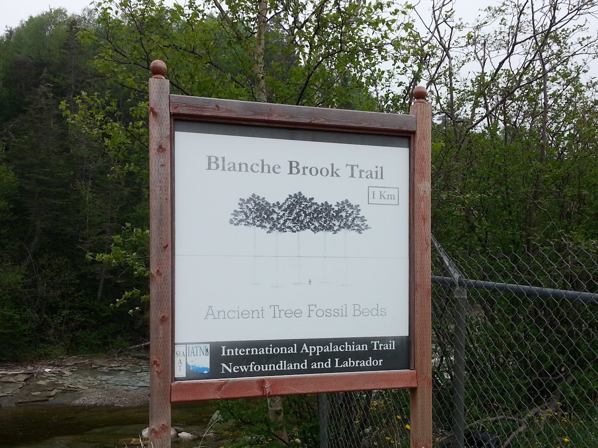 Blanche Brook Trail