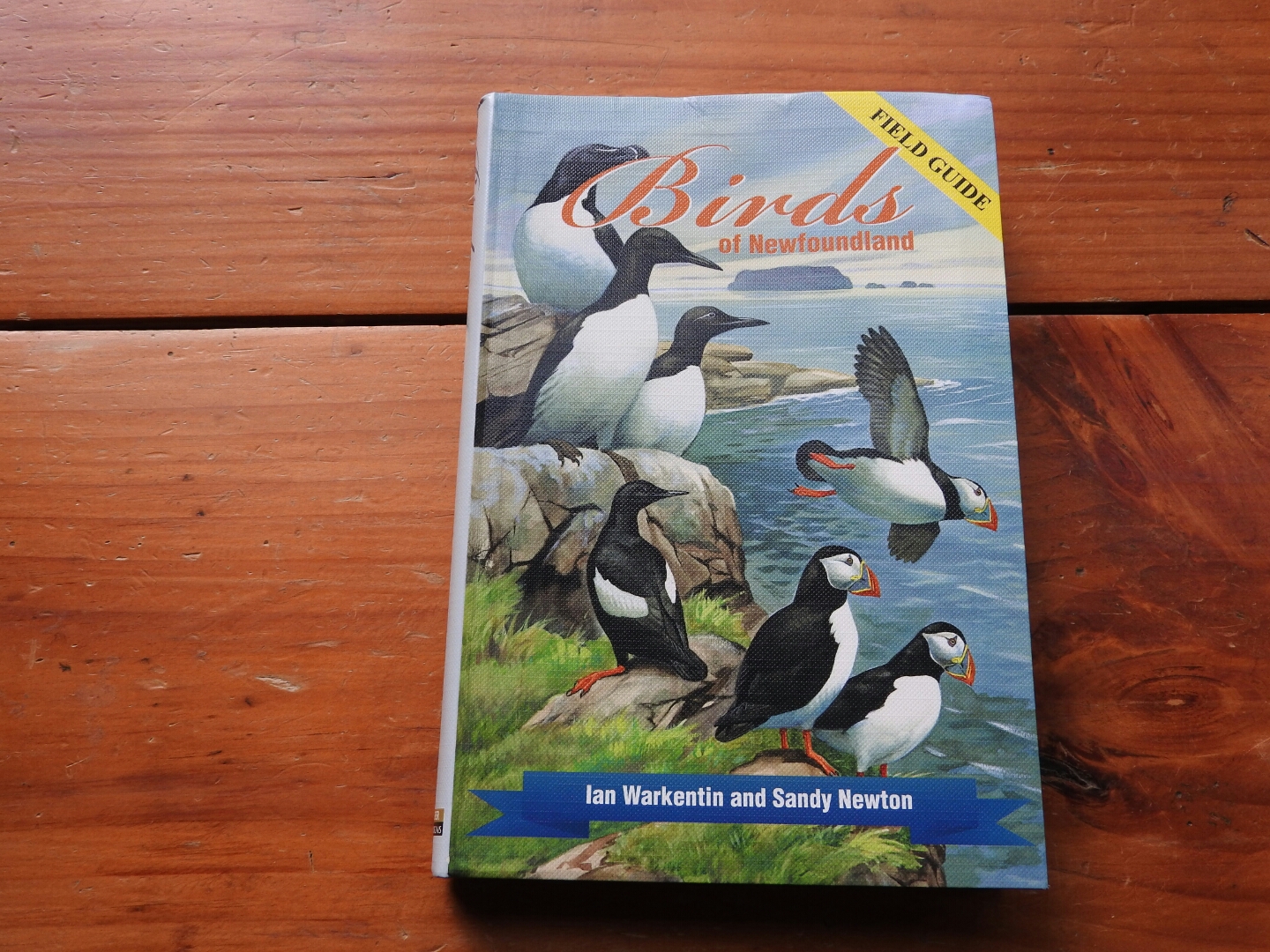 Birds of Newfoundland