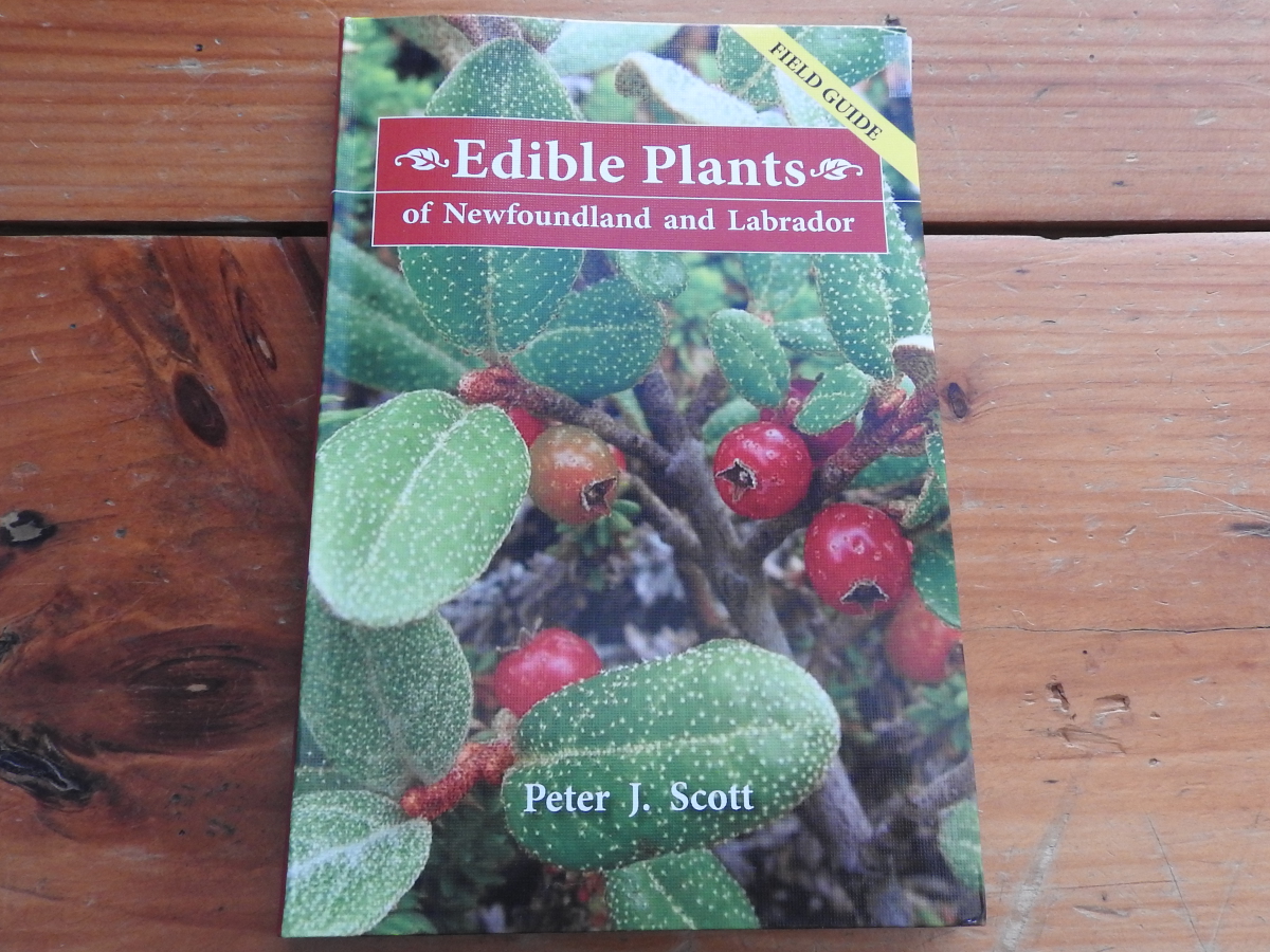 Edible Plants of Newfoundland and Labrador