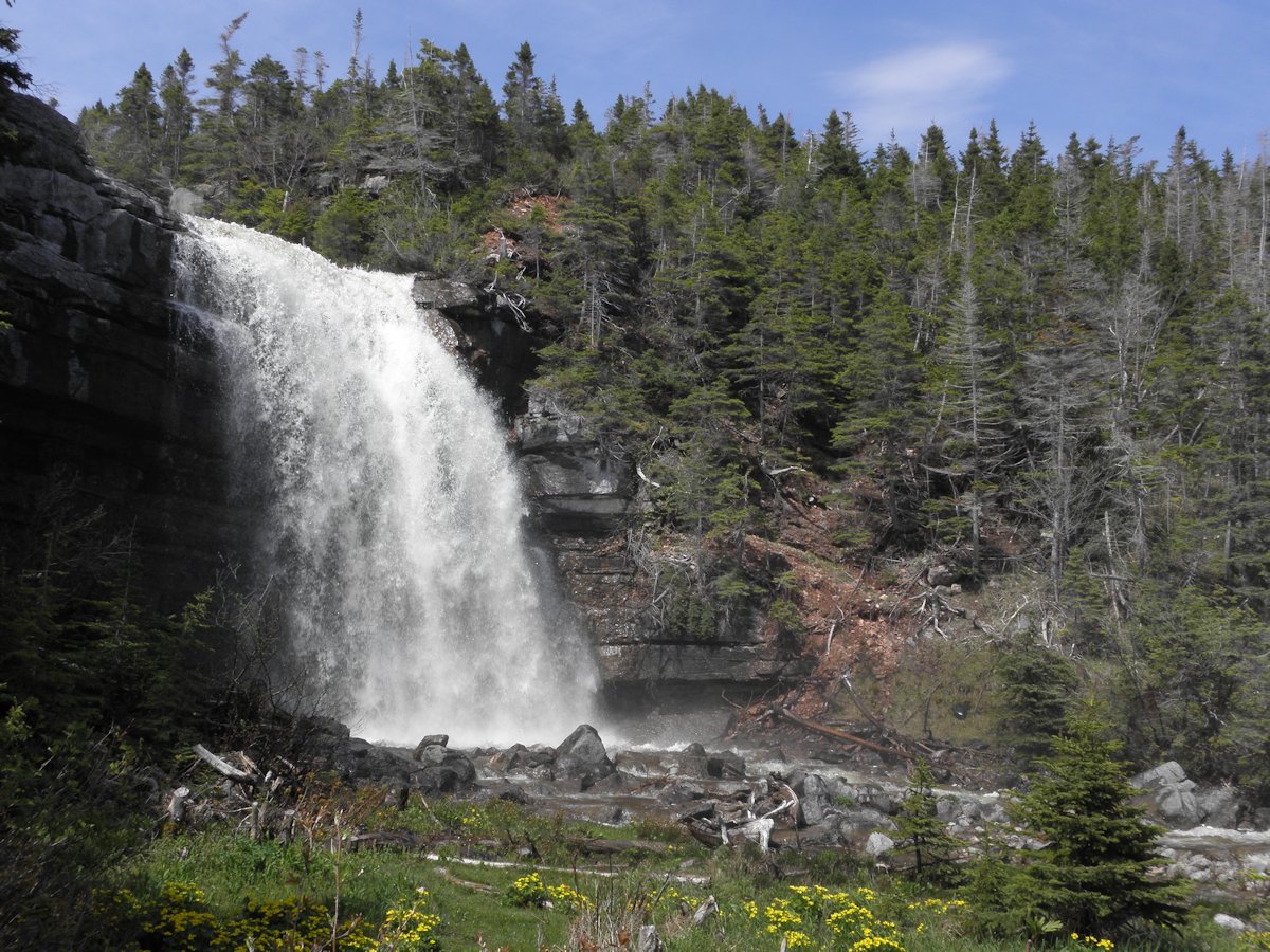 Sheaves Cove, NL