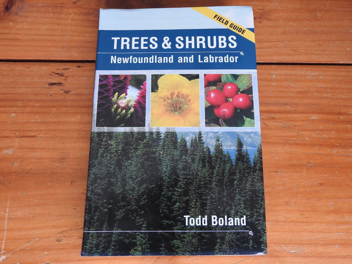 Trees & Shrubs of Newfoundland and Labrador